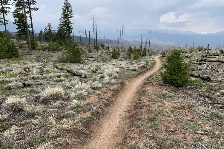A winding dirt path leads through a mountainous landscape, surrounded by patches of grass and scattered pine trees. The sky is overcast with gray clouds, and distant mountains are visible in the background. The area shows signs of previous tree damage, with some dead trees scattered throughout the scene.