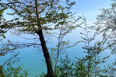 A serene view of a narrow path leading towards a tranquil body of water, framed by lush green foliage and trees, under a clear blue sky. Rondeau Park mountain bike trail.