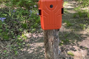 An orange outdoor storage box mounted on a tree along a wooded trail, surrounded by greenery and small purple flowers. Indian Camp Creek mountain bike trail.