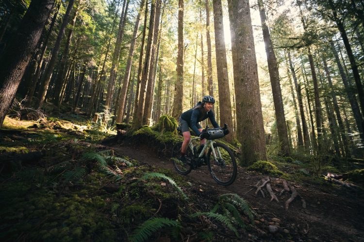 A cyclist riding a bike on a dirt trail through a dense forest, surrounded by tall trees and greenery, with sunlight filtering through the leaves.