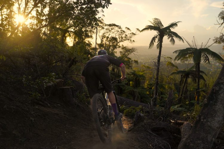A mountain biker rides down a dirt trail surrounded by lush greenery and tall palm trees, with a sunset illuminating the scene in the background. Dust is kicked up behind the bike as it navigates the terrain, creating a dynamic and adventurous atmosphere.