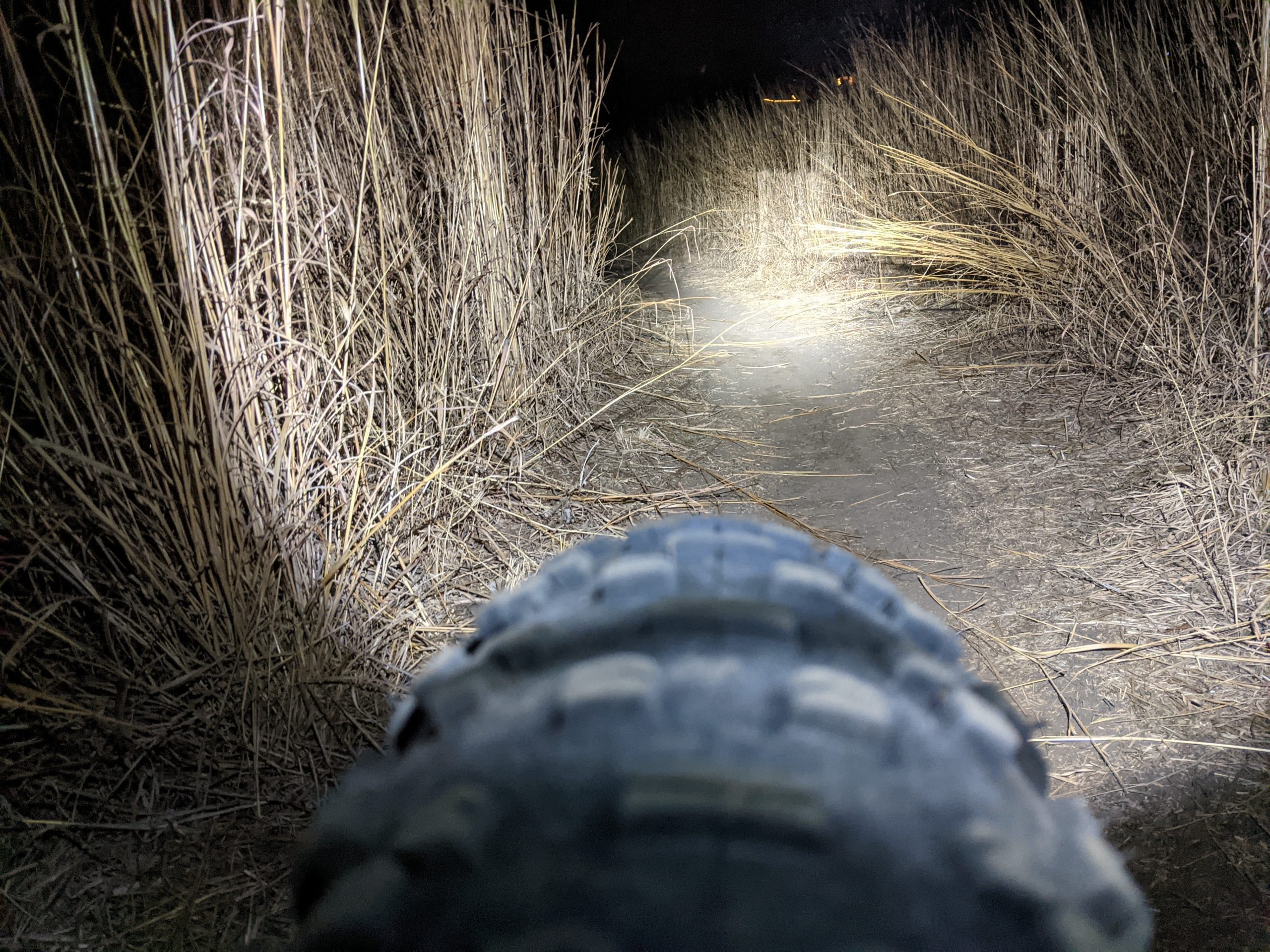 A close-up view of a tire on a narrow dirt path illuminated by a flashlight, surrounded by tall dry grass, under a night sky. Legacy Park mountain bike trail.