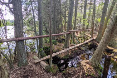 A wooden bridge crossing a small stream, surrounded by tall trees and lush greenery. The scene includes reflections in the water and a serene, woodland atmosphere. Wells Mills County Park mountain bike trail.