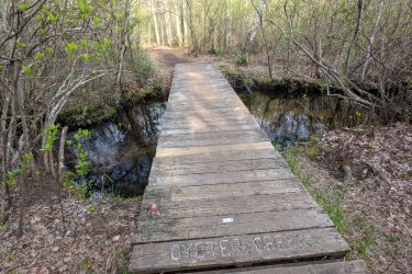 A wooden footbridge labeled "Oyster Creek" spanning a small stream, surrounded by trees and foliage, leading into a wooded path. Wells Mills County Park mountain bike trail.