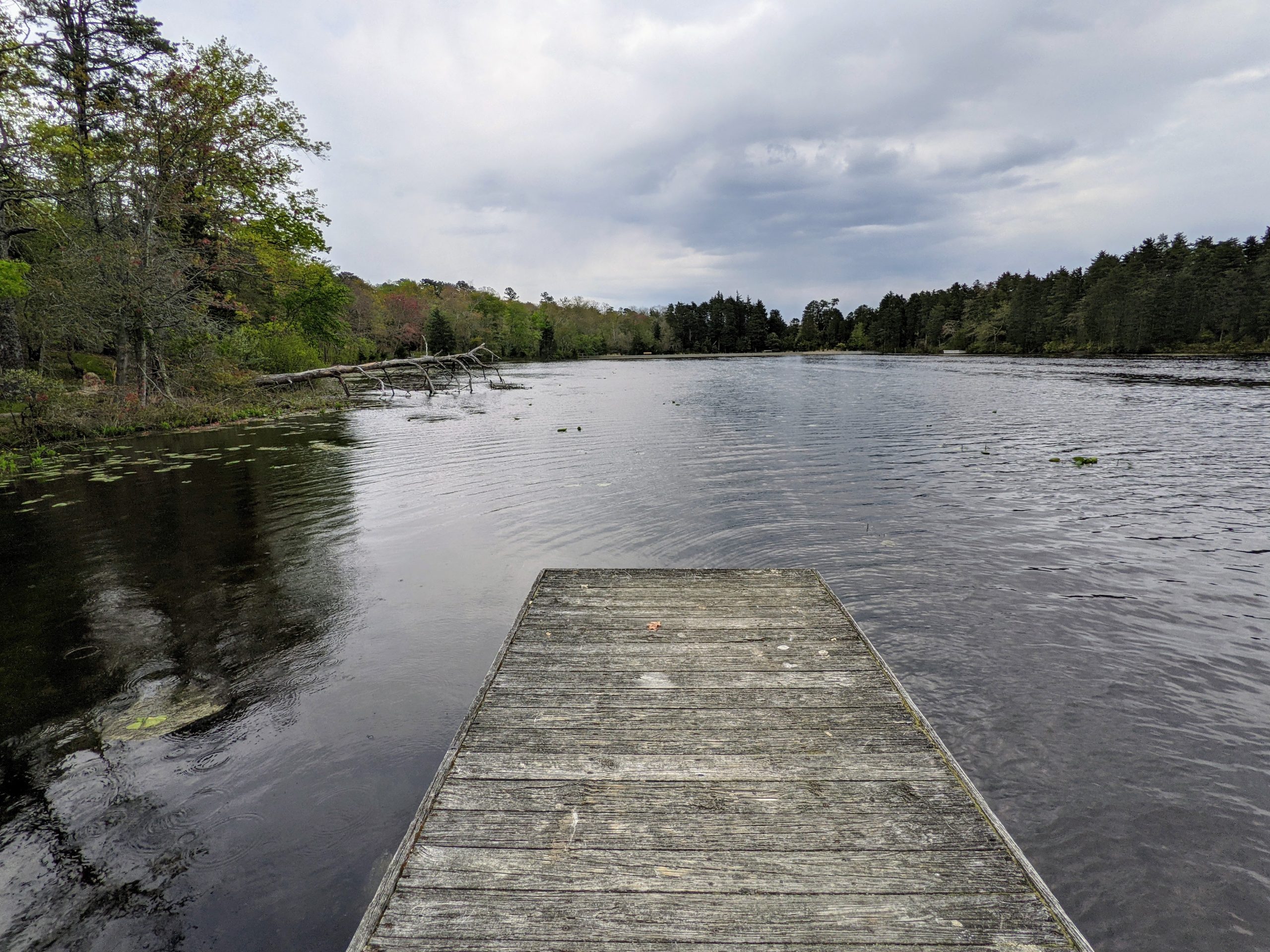 A view of a serene lake from a wooden dock, surrounded by lush greenery and trees. The sky is overcast with gray clouds reflecting on the water