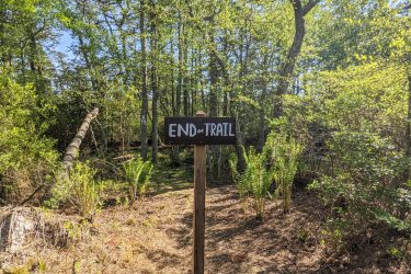 A view from the handlebars of a mountain bike, showing a sign that reads "END of TRAIL" amidst a lush, green forest. Sunlight filters through the trees, illuminating the path leading to the sign, surrounded by ferns and underbrush. Jakes Branch County Park Blue Trail mountain bike trail.