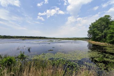 A serene view of a lake surrounded by lush greenery, with water lilies floating on the surface. The sky is partially cloudy, revealing patches of blue, and the landscape features a mix of tall grasses and trees along the shoreline. Brendan T. Byrne / Lebanon State Park mountain bike trail.