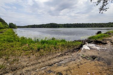 A serene view of a freshwater lake surrounded by lush greenery and trees, with a sandy shoreline in the foreground. The calm water reflects a cloudy sky, and lily pads are visible on the surface. Brendan T. Byrne / Lebanon State Park mountain bike trail.