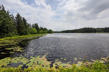 A serene view of a calm lake surrounded by dense greenery and trees. The surface of the water reflects the cloudy sky, while lily pads float on the water's edge. The scene captures a peaceful natural landscape, ideal for relaxation and fishing. Brendan T. Byrne / Lebanon State Park mountain bike trail.