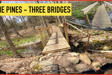 Trek Fuel EX 8 29: A scenic view of a wooded trail at "The Pines," featuring three wooden bridges crossing over a small stream. The path is surrounded by greenery and emerging leaves, indicative of spring. In the foreground, part of a mountain bike handlebar is visible, suggesting the image is taken from a cyclist's perspective.