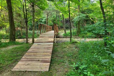 A wooden footbridge extending over a small creek, surrounded by lush green trees and vegetation in a tranquil forest setting. McDougal Lake Trail mountain bike trail.