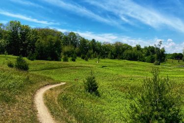 A winding dirt path leads through a lush green meadow under a bright blue sky with wispy clouds. Trees line the edges of the field, creating a serene and picturesque landscape. Dagmar North mountain bike trail.