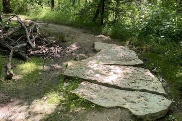 A walking path through a lush green forest, featuring large stone slabs as stepping stones, surrounded by trees and underbrush. Lake Fayetteville Trail mountain bike trail.
