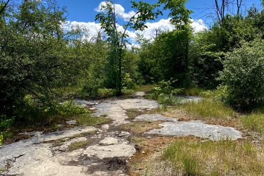 A scenic view of a rocky path surrounded by lush greenery under a bright blue sky filled with fluffy white clouds. The pathway is lined with various plants and trees, creating a serene and natural landscape. Stony Swamp Conservation Area Trails mountain bike trail.