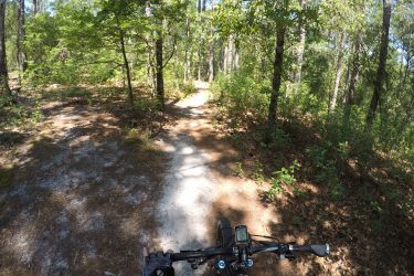 A mountain biker's perspective on a winding dirt trail surrounded by lush green trees in a forested area, with a hand on the bike's handlebars and a clear blue sky above. Sesquicentennial State Park mountain bike trail.
