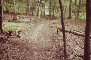 A dirt pathway winding through a dense forest, surrounded by tall trees and scattered fallen branches, with green foliage and leafy ground cover. Palos Forest Preserve mountain bike trail.