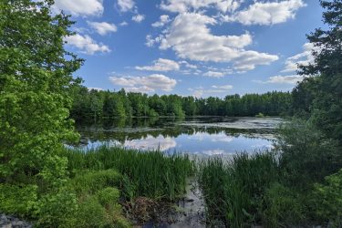 A serene view of a calm lake surrounded by lush green trees and grasses under a partly cloudy blue sky. The reflection of the sky and trees can be seen on the water's surface, creating a peaceful natural scene. Manasquan Reservoir mountain bike trail.