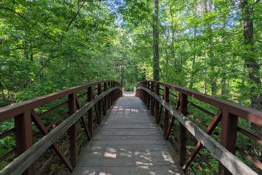 A wooden footbridge traversing through a lush green forest, surrounded by tall trees and dappled sunlight filtering through the leaves. The path ahead is inviting, leading deeper into the serene wooded area. Manasquan Reservoir mountain bike trail.