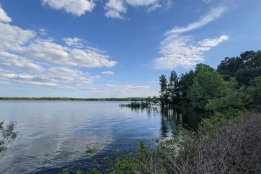 A serene landscape featuring a calm lake surrounded by lush greenery, under a bright blue sky with scattered clouds. The shoreline is lined with bushes, and trees are visible on the left side, reflecting in the water, creating a peaceful natural scene. Manasquan Reservoir mountain bike trail.