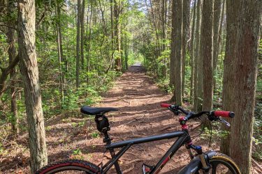 A black mountain bike parked on a dirt path surrounded by tall trees and lush greenery in a forest. Sunlight filters through the leaves, creating a serene atmosphere. Wells Mills County Park mountain bike trail.