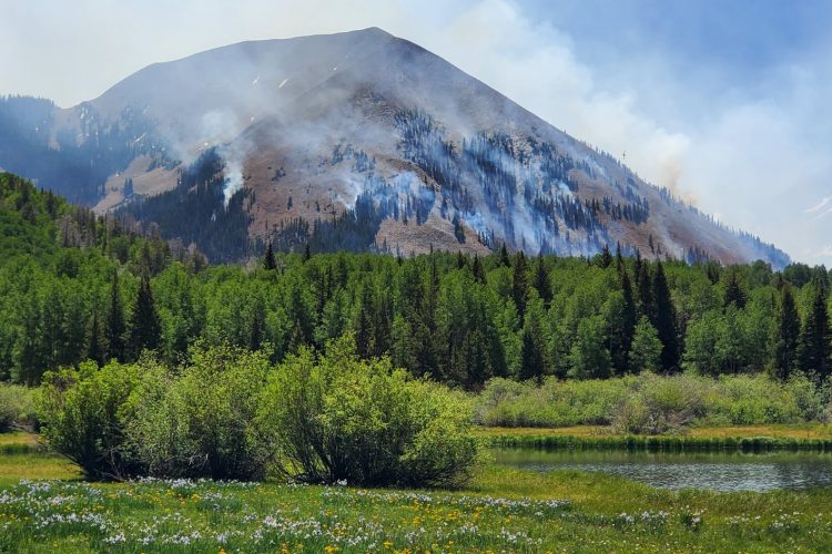 A scenic view of a mountain landscape featuring smoke rising from a wildfire. The foreground displays a lush green area with shrubs and a serene pond, while the background shows a mountain with charred patches, indicating recent fire activity, and a clear blue sky.