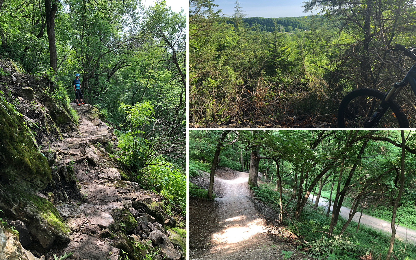 A collage of four images depicting a scenic outdoor environment. The first image shows a rocky path through lush greenery with a person standing beside it. The second image captures a distant view of trees under clear skies. The third image features a bike leaning against a bush in a wooded area. The fourth image showcases a tree-lined trail winding through dense foliage. Proving Grounds mountain bike trail.