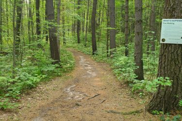 A narrow dirt path winds through a lush green forest, surrounded by tall trees with vibrant foliage. On the right side of the image, a sign provides information about tree marking practices. The scene conveys a peaceful, natural environment. Ogemaw Hills Pathway mountain bike trail.
