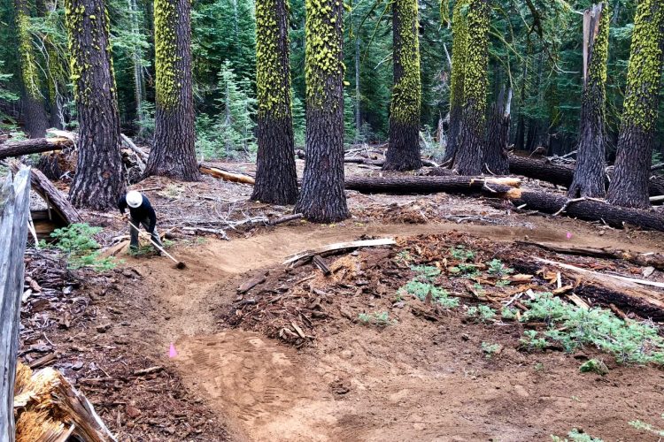 A person working on a dirt trail in a forested area, surrounded by tall trees with green moss on their trunks. The individual is using a shovel to shape the path, which curves through the woods. Logs and fallen branches are visible in the background, adding to the natural setting. Pink flags mark the trail area. Stanford Rock Trail mountain bike trail.