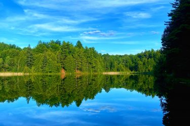 A tranquil lake surrounded by lush green trees under a clear blue sky, with the reflections of the trees and sky mirrored in the calm water. Allen Park mountain bike trail.