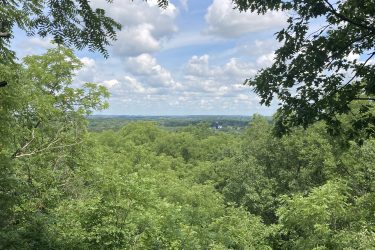 A panoramic view of a lush green landscape framed by trees, with rolling hills and a partly cloudy sky in the background. The scene depicts a vibrant natural setting, highlighting the abundance of foliage and the serene atmosphere of the outdoors. Kettle Moraine John Muir + Emma Carlin mountain bike trail.