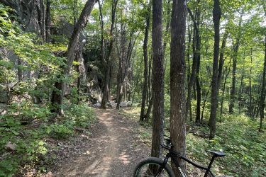 A mountain bike leaning against a tree along a dirt trail winding through a lush green forest, with sunlight filtering through the leaves. Rocks are visible on the left side of the path. Jackpot mountain bike trail.