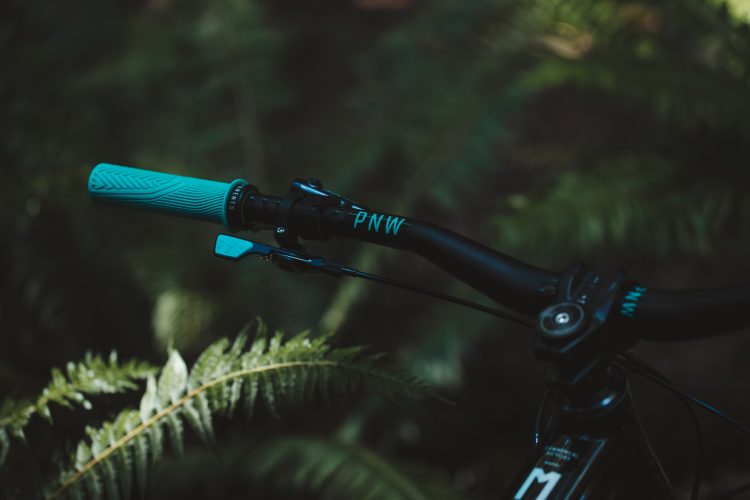 Close-up view of a bicycle handlebar featuring turquoise grips and a black handlebar with the text "PNW," set against a backdrop of lush green ferns in a shaded environment.