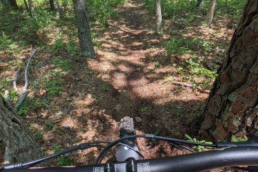 View from the handlebars of a mountain bike on a wooded trail, surrounded by tall trees and greenery, with a directional sign labeled "Batter's Loop" visible ahead. Seaview Trails Main loop mountain bike trail.