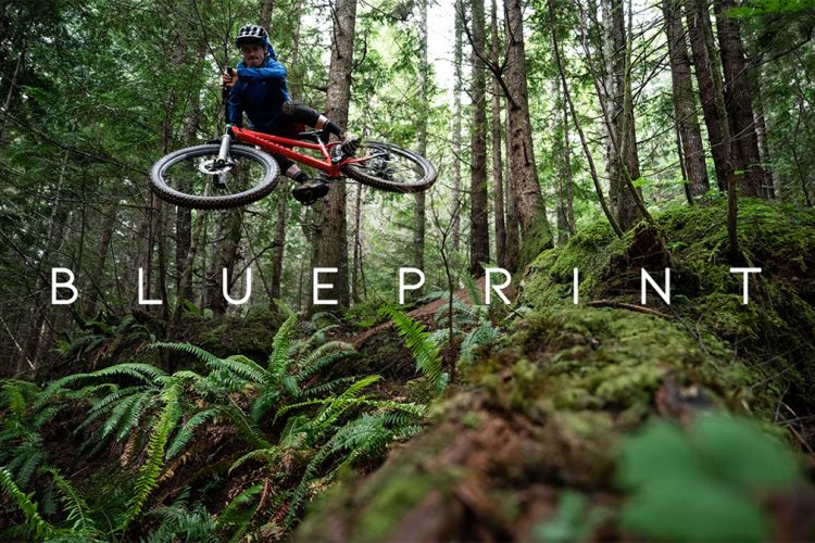 A mountain biker in mid-air over a mossy forest landscape, with tall trees and ferns in the background. The word "BLUEPRINT" is featured prominently across the image.