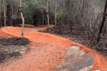 A winding dirt trail through a wooded area, featuring an orange path bordered by rocky outcrops. A sign nearby reads "No Horses Beyond This Point," indicating restrictions for equestrian use. The surrounding vegetation appears sparse, with some trees and dry bushes visible. Bogue Chitto State Park mountain bike trail.