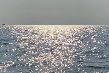 A view of a serene beach with gentle waves lapping at the shore, reflecting shimmering sunlight on the water's surface. The horizon meets a hazy sky, creating a tranquil atmosphere with sparkling highlights on the sea. Point Pelee National Park mountain bike trail.