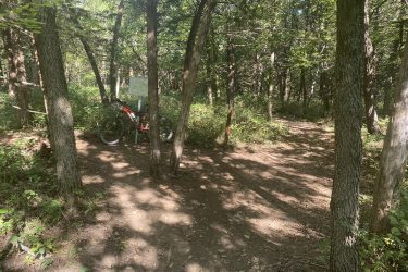 A mountain bike leaning against a sign in a wooded area with two diverging paths. Sunlight filters through the trees, casting dappled shadows on the ground, which is lined with greenery and dirt trails. Cedar Niles Park mountain bike trail.