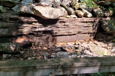 A natural rock formation with layers of sedimentary stones, some wet with water drippings, surrounded by a variety of rocks and pebbles on the ground. In the foreground, there is a wooden railing. The scene is set in a wooded area, showcasing lush greenery in the background. Frozen Head State Park Fire Tower Trail mountain bike trail.