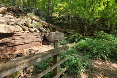 A wooden sign labeled "Lingo Branch" stands on a fence next to a rocky stream in a lush, green forest. Sunlight filters through the vibrant leaves of trees, illuminating the surrounding nature and boulders along the water's edge. Frozen Head State Park Fire Tower Trail mountain bike trail.