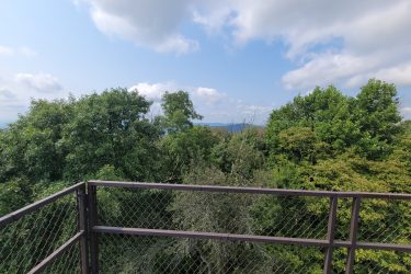 A view from a lookout platform, featuring a foreground of leafy trees and a distant horizon under a partly cloudy sky. Frozen Head State Park Fire Tower Trail mountain bike trail.
