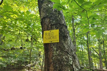 A yellow sign labeled "RED SHORE" pointing to the right, affixed to the trunk of a tree in a lush, green forest. The surrounding area features dense foliage and sunlight filtering through the leaves. Haw Ridge Park mountain bike trail.