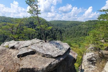 A rocky cliff overlooking a lush green valley, with a few pine trees growing at the edge. The sky is bright blue with fluffy white clouds scattered throughout. Grand Gap mountain bike trail.