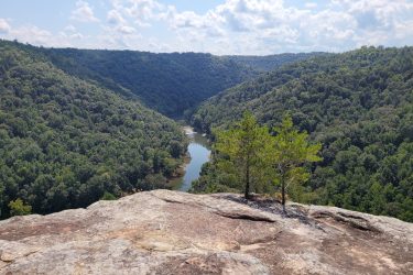 A scenic view from a rocky overlook, showcasing a lush green valley with a meandering river surrounded by dense forests under a partly cloudy sky. Two small trees are prominently positioned on the rocky ledge in the foreground. Grand Gap mountain bike trail.