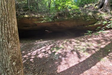 A natural rock overhang surrounded by trees, with sunlight filtering down and casting shadows on the ground covered in leaves and small rocks. The scene conveys a serene outdoor setting in a forested area. Grand Gap mountain bike trail.