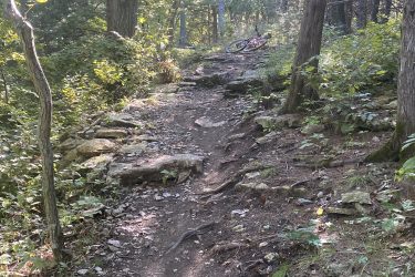 A narrow, rocky trail in a wooded area, featuring scattered stones and lush greenery. A bicycle lies on its side off to the left, with sunlight filtering through the trees in the background. Cedar Niles Park mountain bike trail.