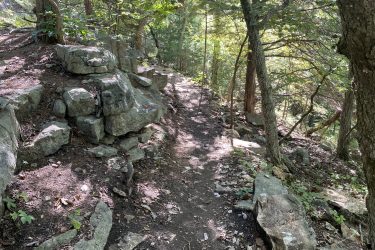 A narrow dirt path winding through a wooded area, flanked by large rocks and trees. Sunlight filters through the leaves, casting dappled shadows on the ground. Cedar Niles Park mountain bike trail.