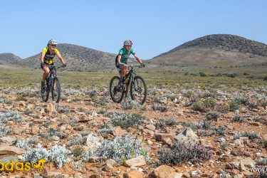 Two mountain bikers ride through a rocky desert landscape with scattered wildflowers and rolling hills in the background. One cyclist is wearing a yellow shirt, while the other is dressed in green. The sky is clear and blue, creating a vibrant outdoor scene. Anysberg Nature Reserve Trails mountain bike trail.