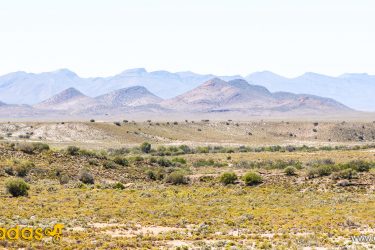 A panoramic view of a vast desert landscape featuring rolling hills and mountains in the background, under a clear sky. The foreground is covered with sparse vegetation and shrubs, illustrating the arid environment. Anysberg Nature Reserve Trails mountain bike trail.