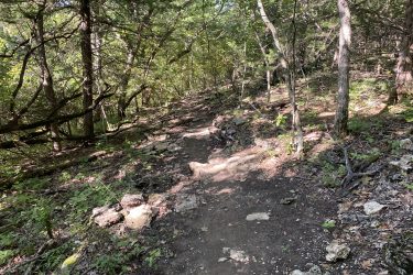 A narrow dirt path winding through a wooded area, surrounded by trees and greenery. Sunlight filters through the leaves, casting dappled light on the trail, which is lined with rocks and small plants. The scene conveys a peaceful, natural environment ideal for hiking. Cedar Niles Park mountain bike trail.