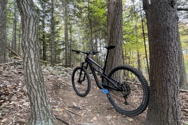 A mountain bike leaning against a tree on a dirt path surrounded by dense woods, with fallen leaves and rocks visible on the ground. The scene captures the essence of outdoor adventure and nature. West Side Trail mountain bike trail.